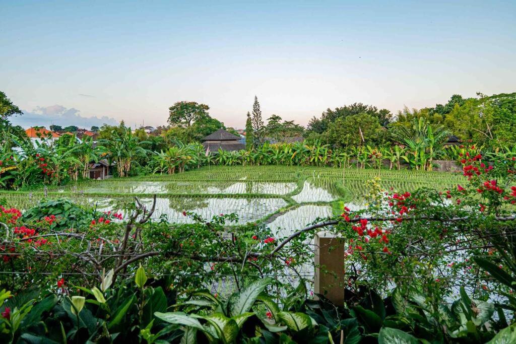 Villa Mimpi Nyata Canggu  Exterior photo