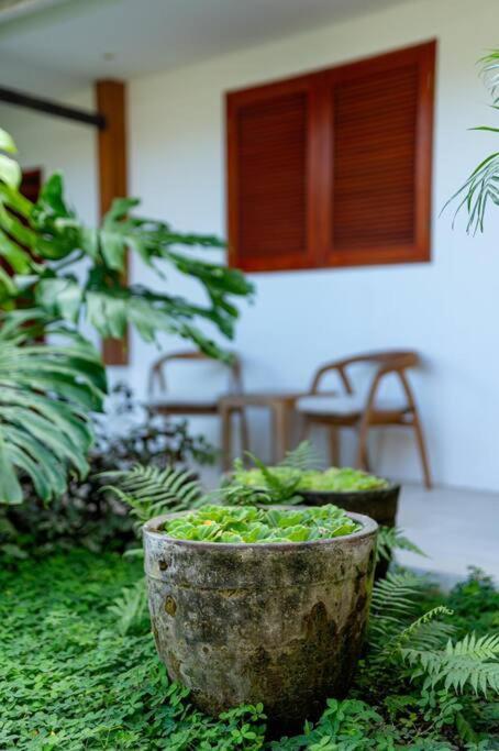 Villa Mimpi Nyata Canggu  Exterior photo